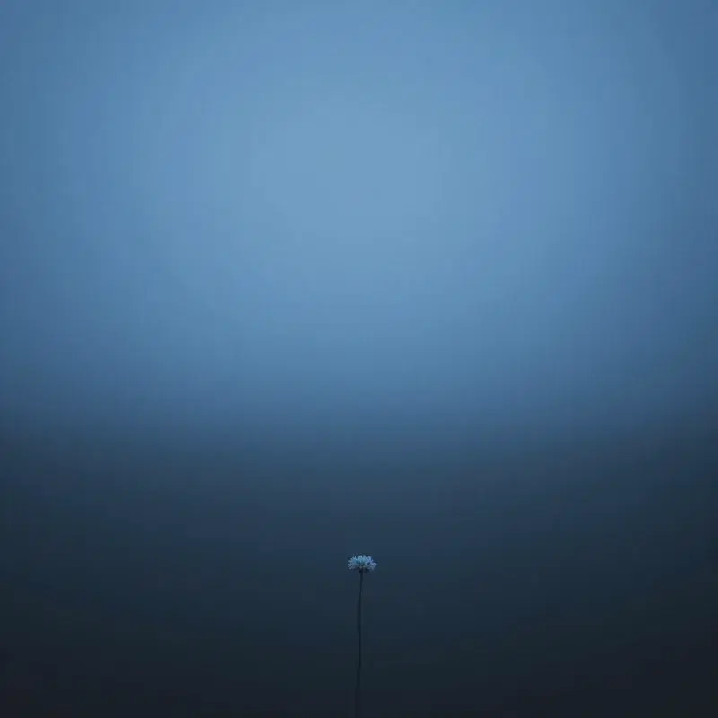 Fallen Star