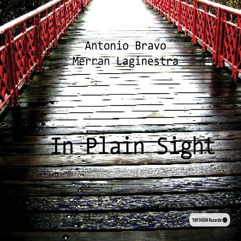 In Plain Sight
