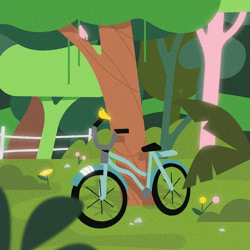 A Bicicleta