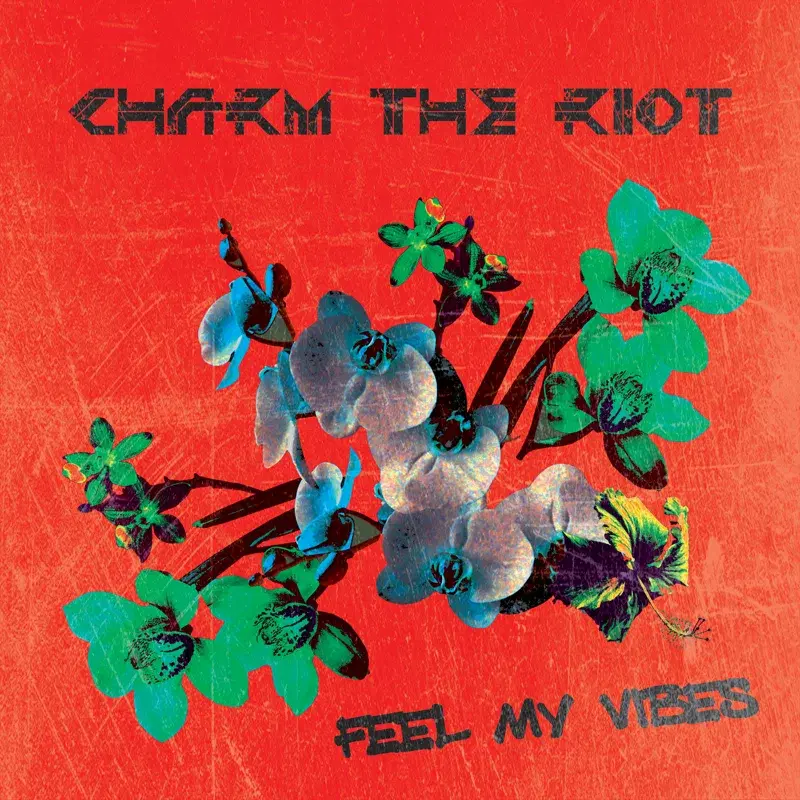 Feel My Vibes