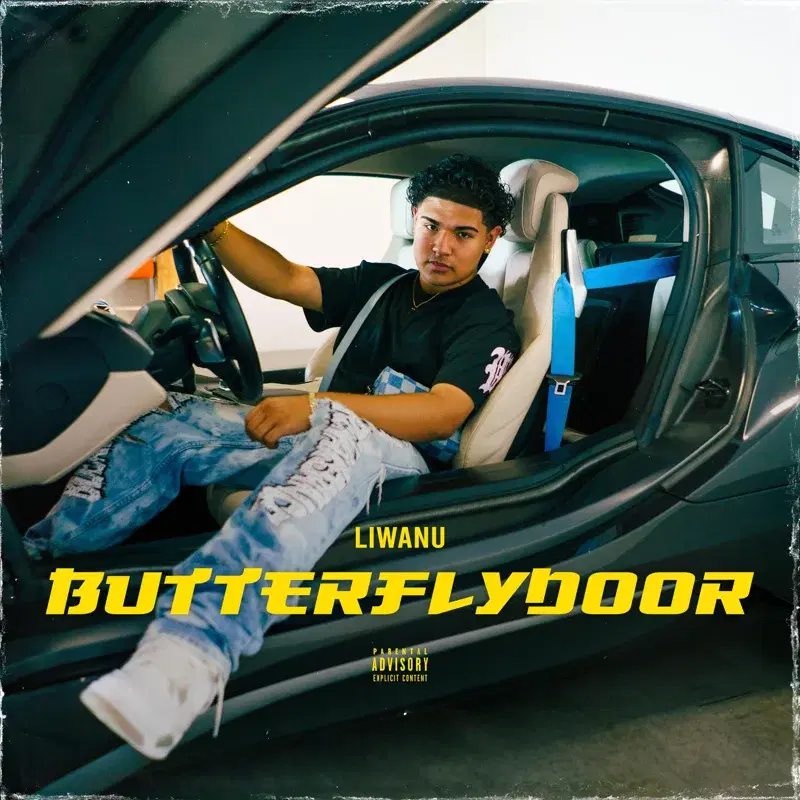 BUTTERFLYDOOR