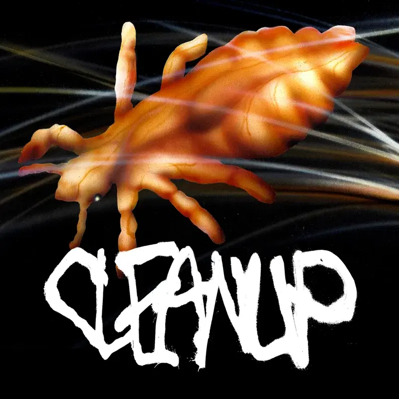 CLEANUP