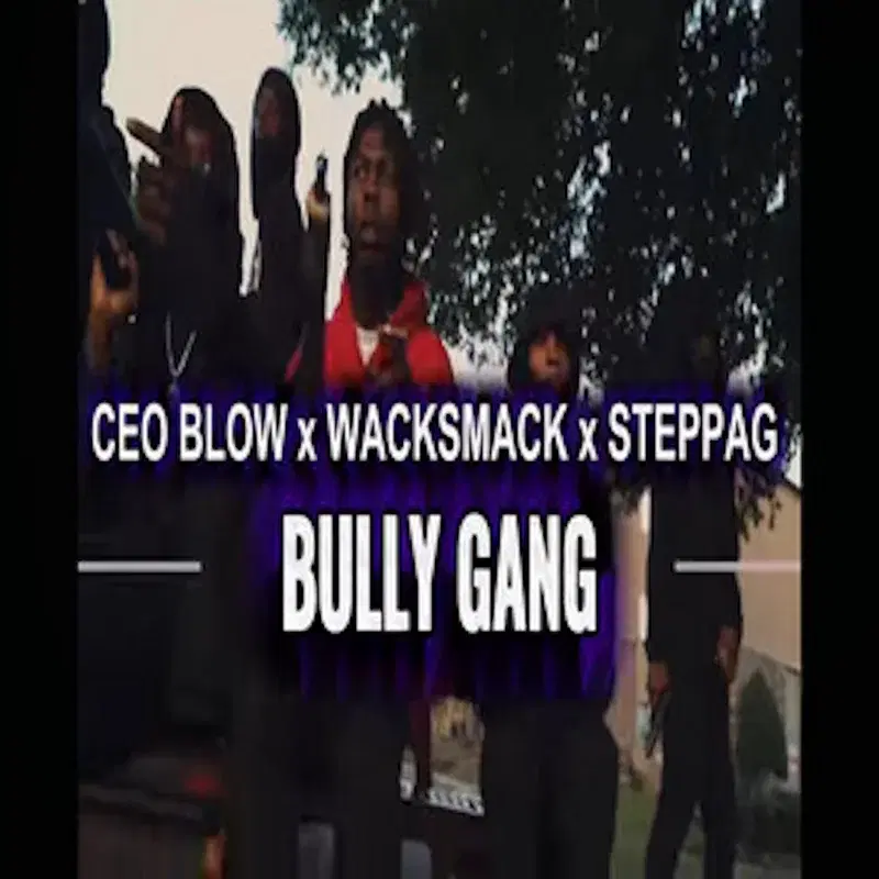 Bully Gang (feat. CEO Blow & WackSmack)