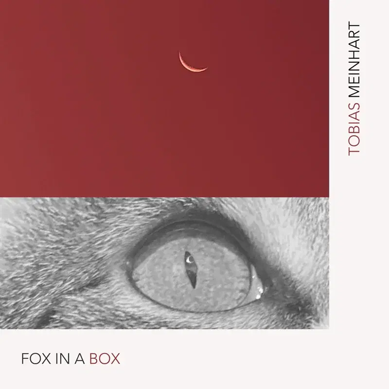 Fox In a Box