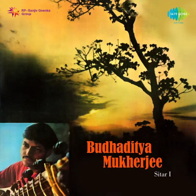Pt. Budhaditya Mukherjee - Sitar