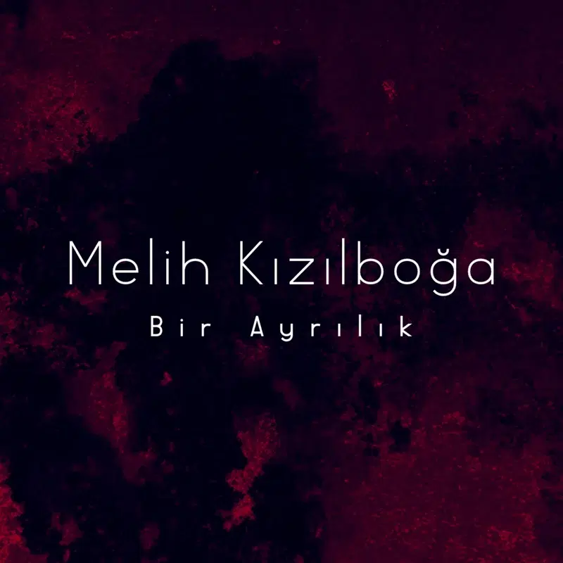 Bir Ayrılık