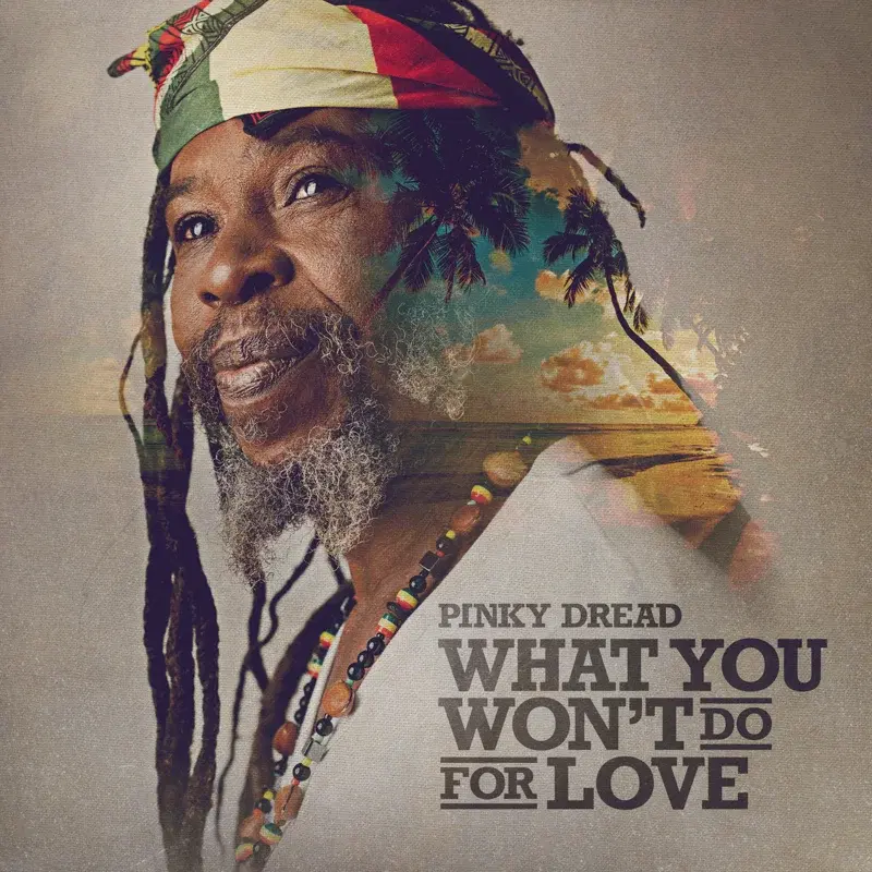 What You Won't Do For Love