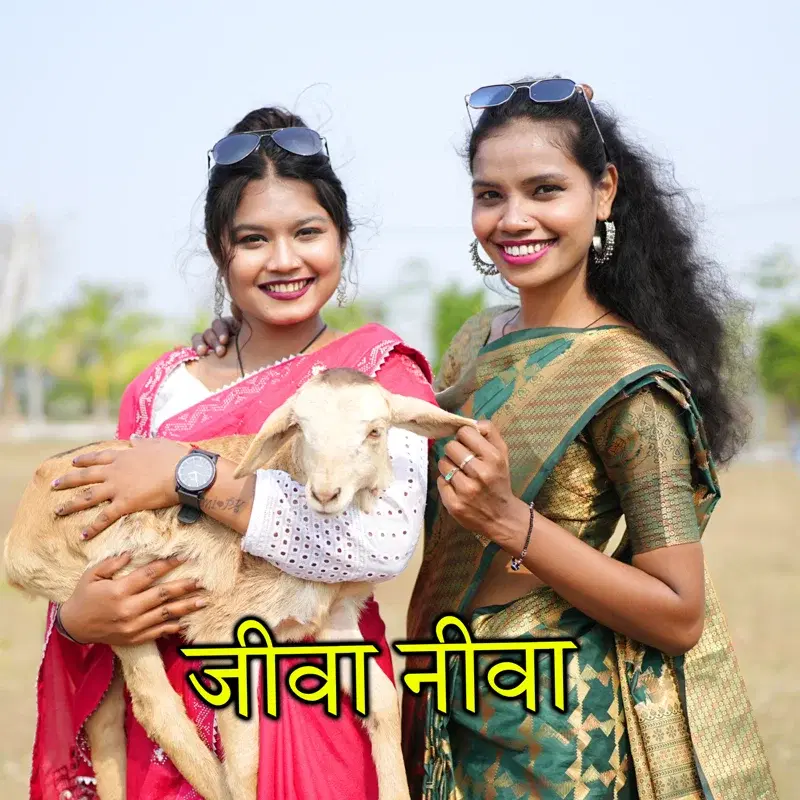 Jiva Niva