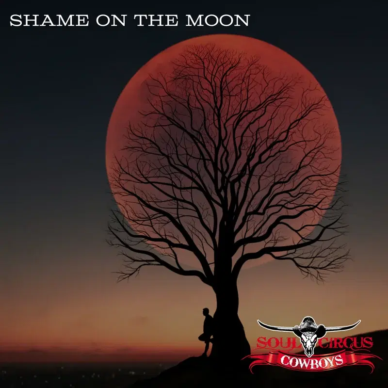 Shame On The Moon