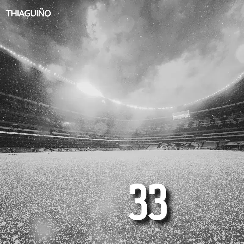 33