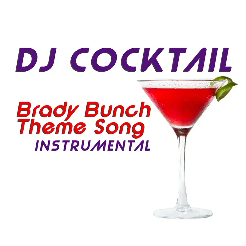 Brady Bunch Theme Song (Instrumental)