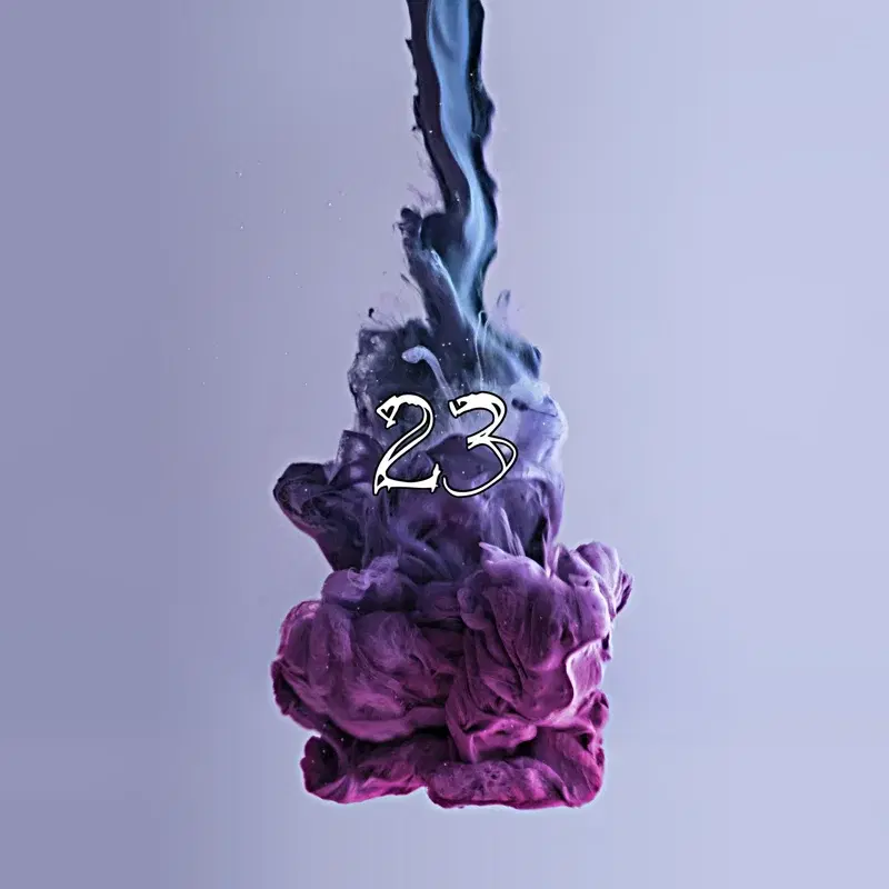 23