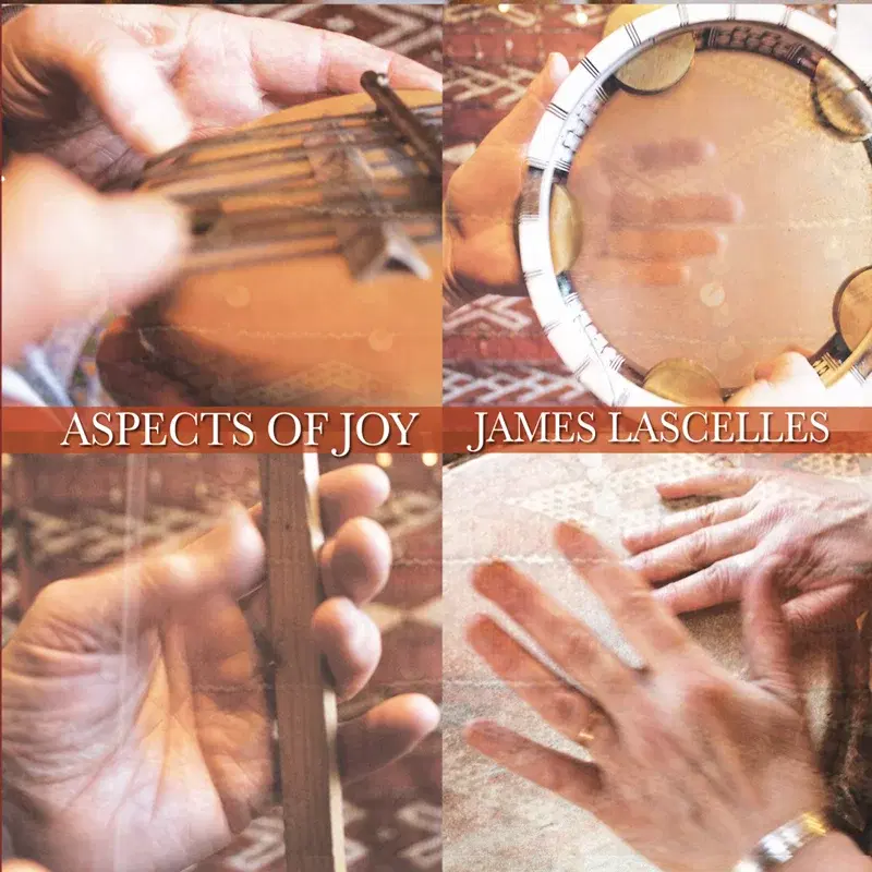 Aspects of Joy