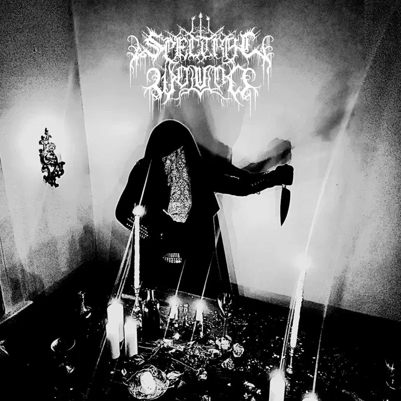 Aristocratic Suicidal Black Metal