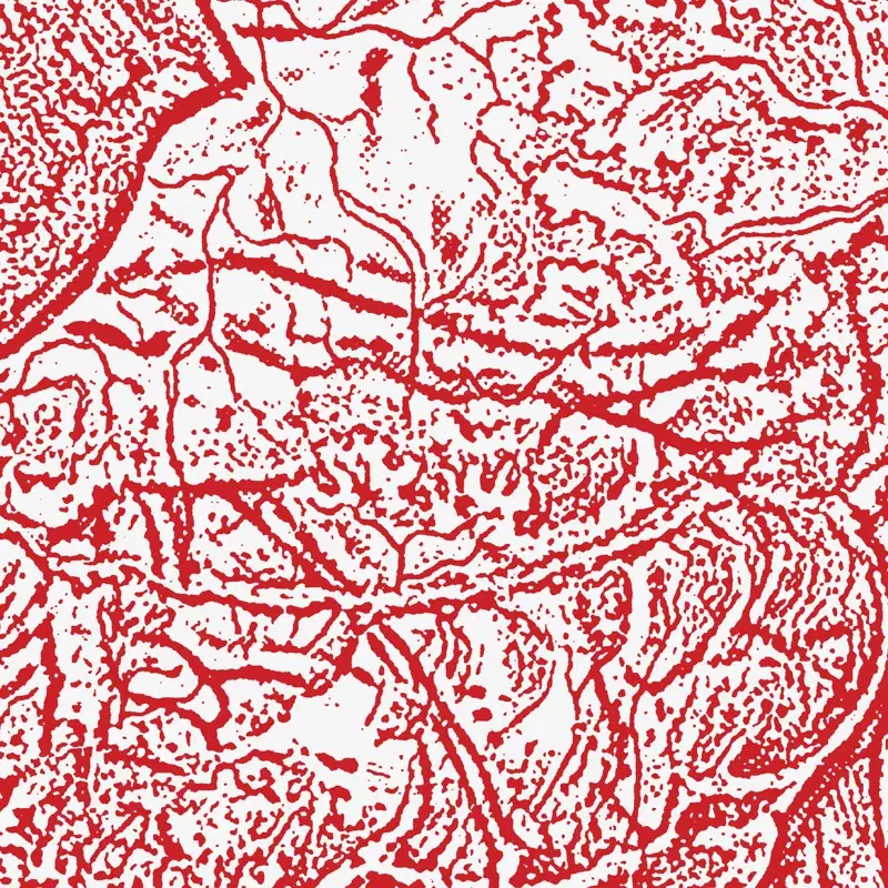 Materializing Defective Fascia