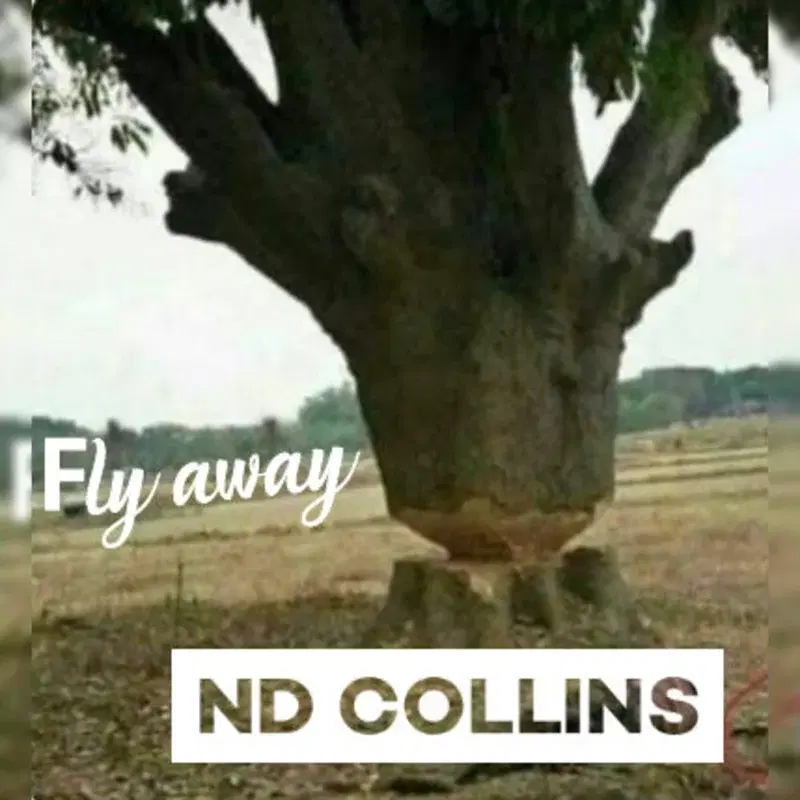 Fly Away