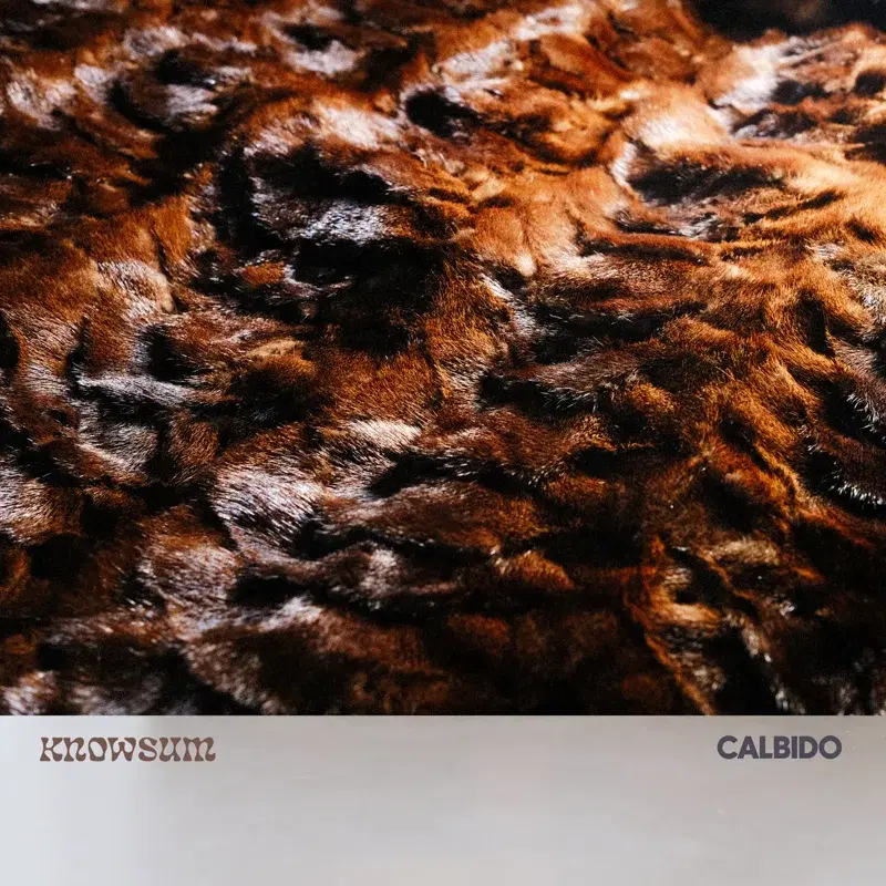 Calbido
