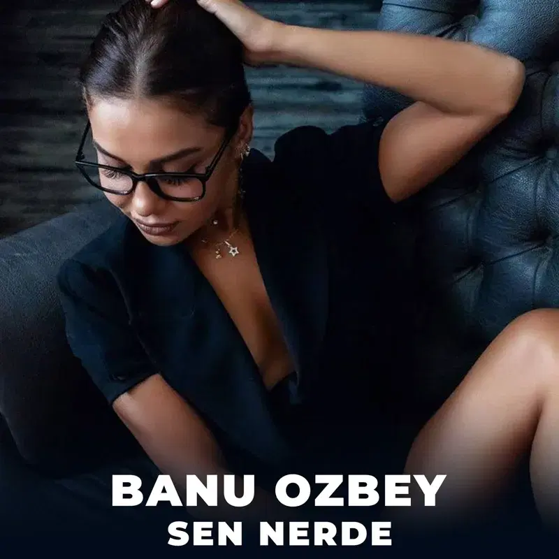 Sen Nerde
