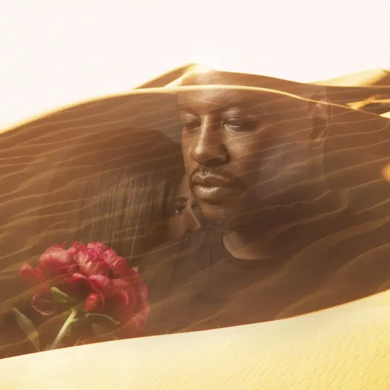 Blomman Från Sahara