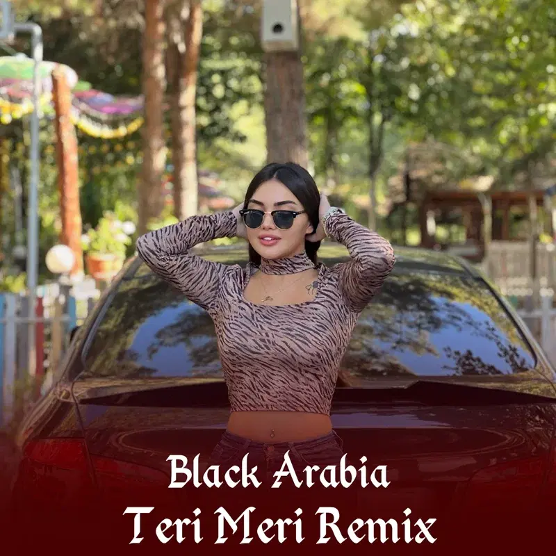Teri Meri