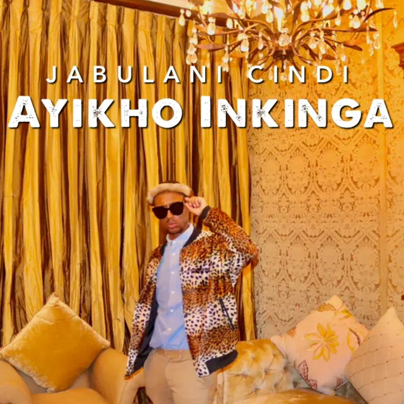 Ayikho Inkinga