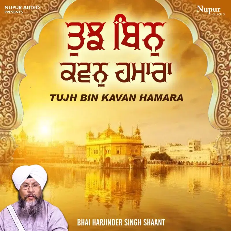Tujh Bin Kavan Hamara