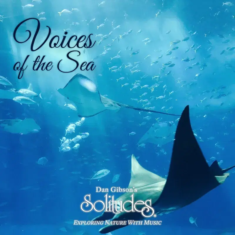 Voices of the Sea