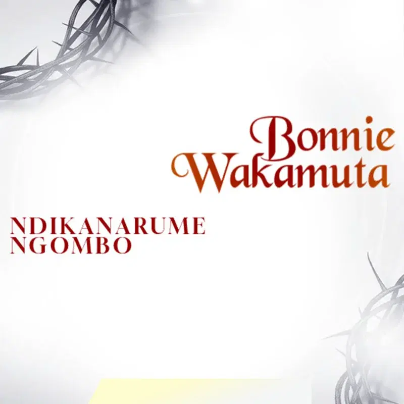 Ndikanarume Ngombo