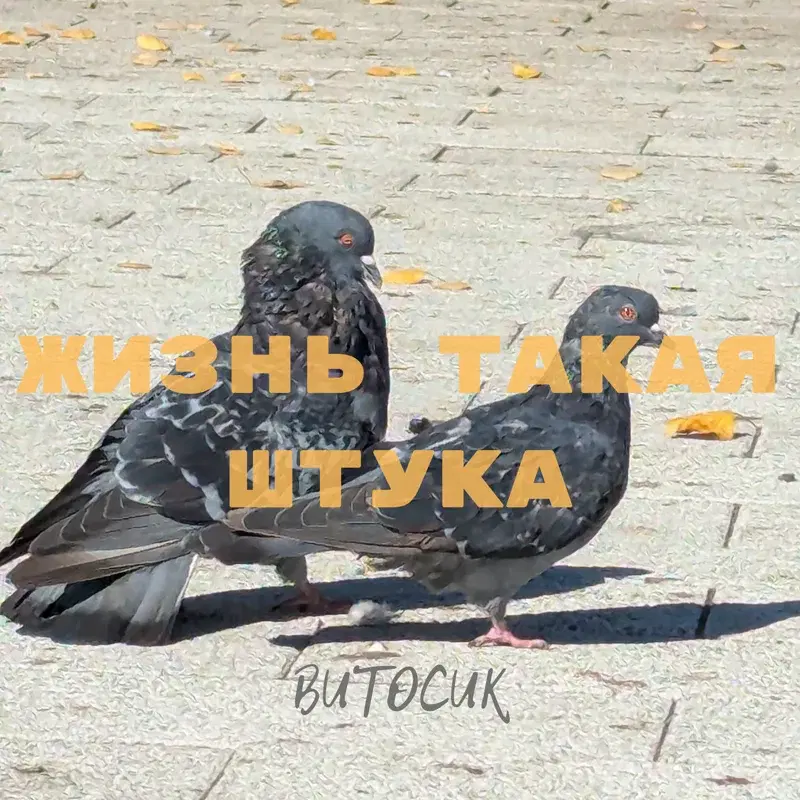 Жизнь такая штука