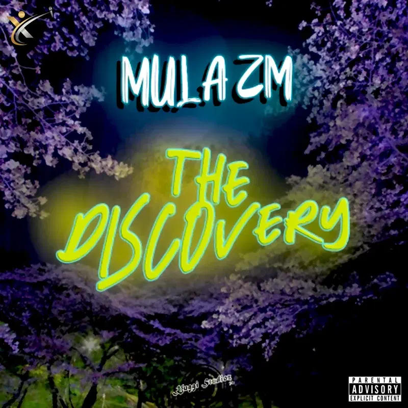 The Discovery