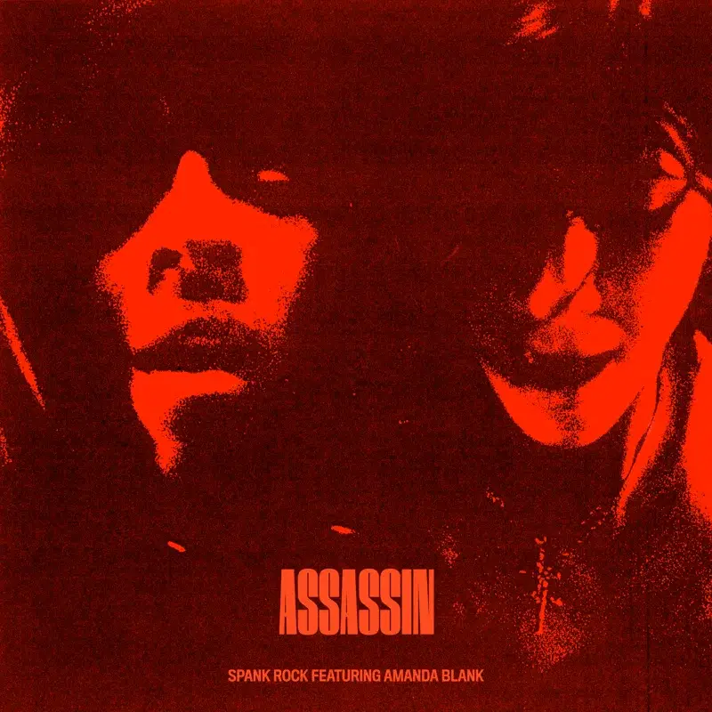 Assassin (feat. Amanda Blank)