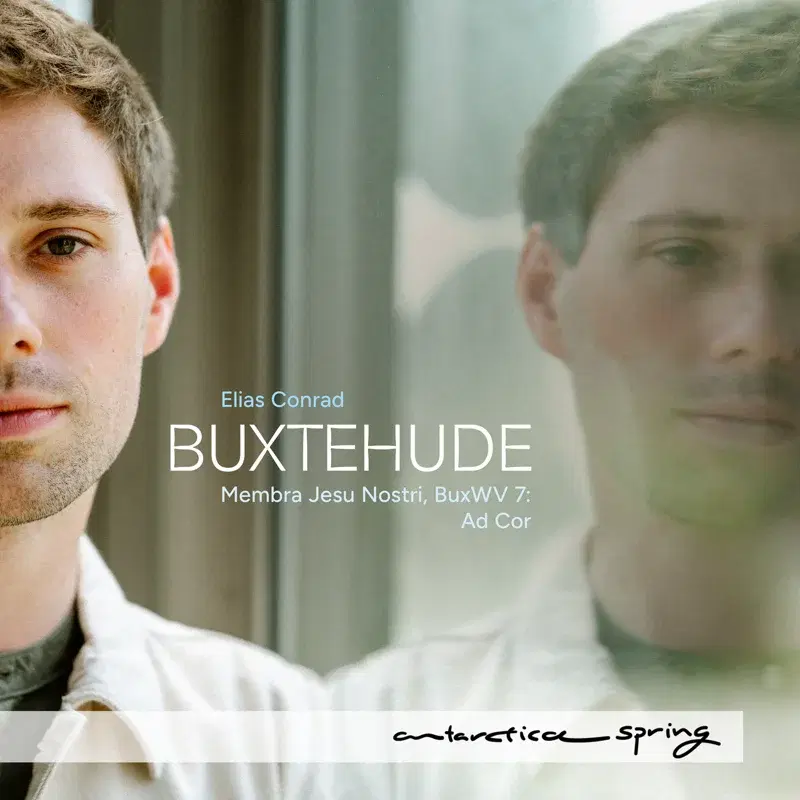 Buxtehude: Membra Jesu Nostri, BuxWV 75: VI. Ad Cor