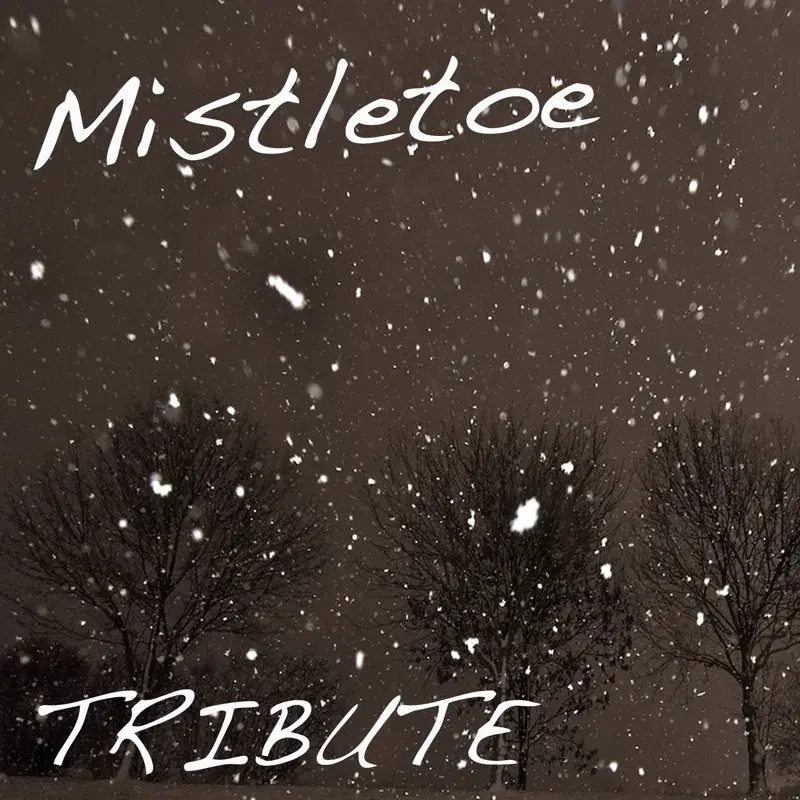 Mistletoe (Justin Bieber Tribute)