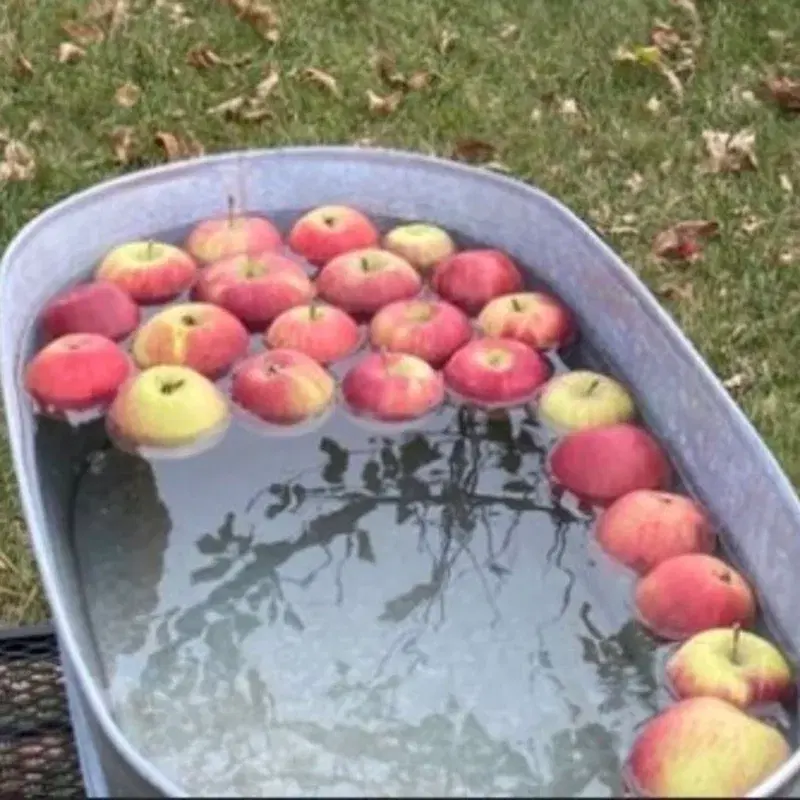 Apples