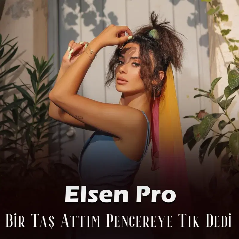 Bir Taş Attım Pencereye Tık Dedi