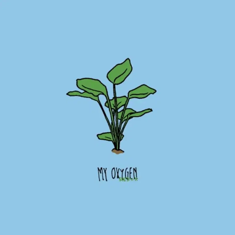 My Oxygen