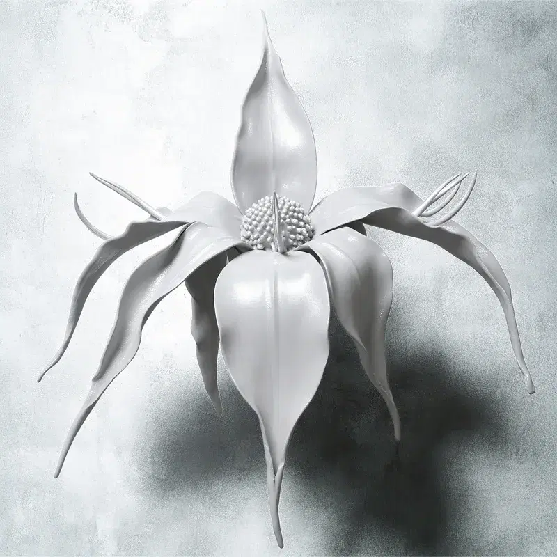 Portal