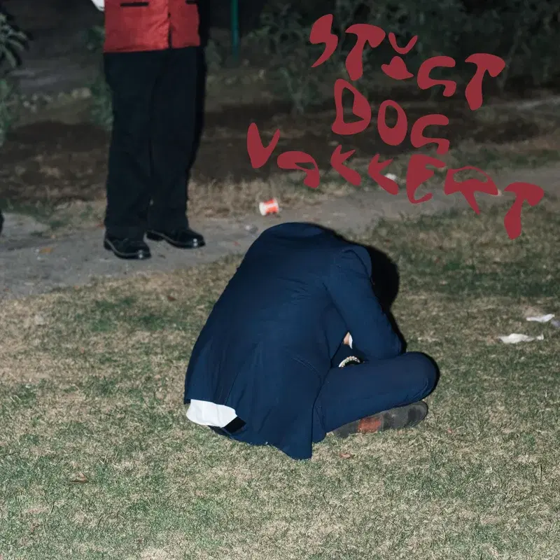Stygt dog vakkert