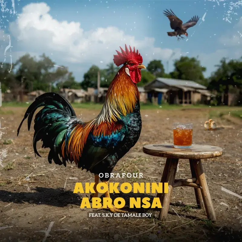 Akokonini Abro Nsa