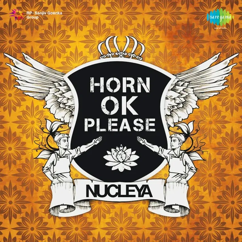 Horn Ok Please
