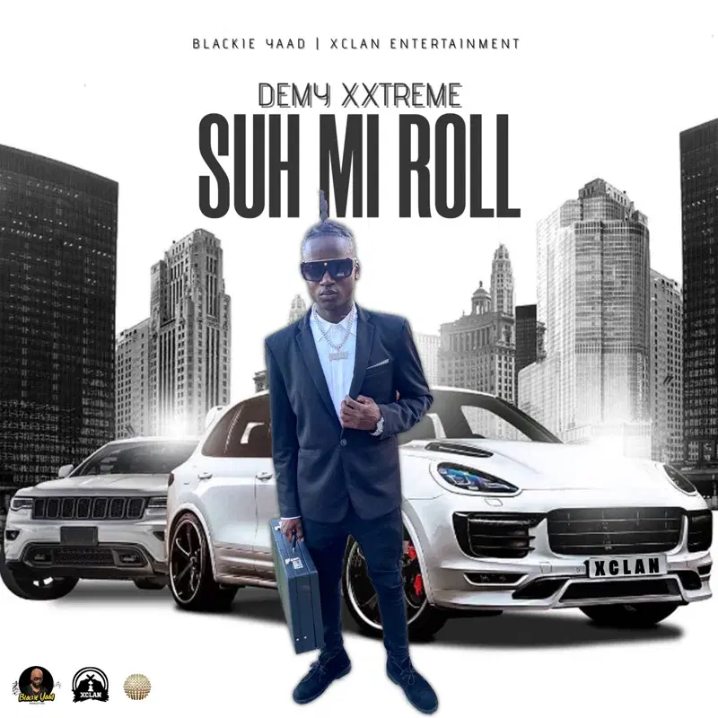 Suh Mi Roll