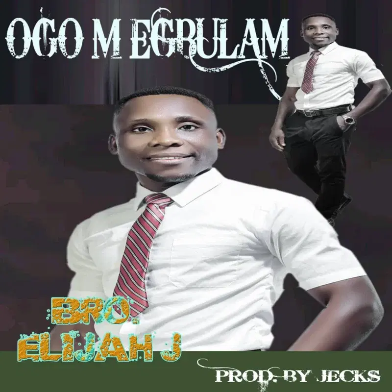 Ogo M Egwulam