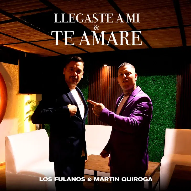 Llegaste A Mi / Te Amaré