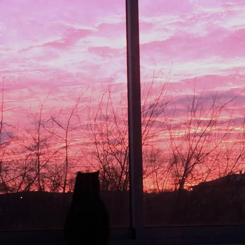 dawn light