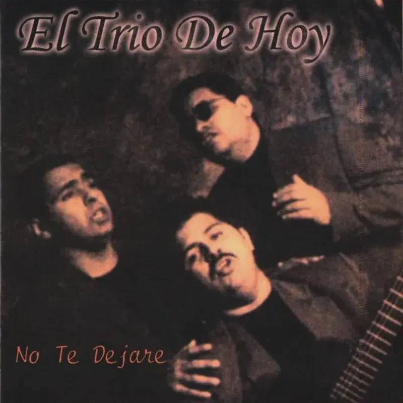 No Te Dejare