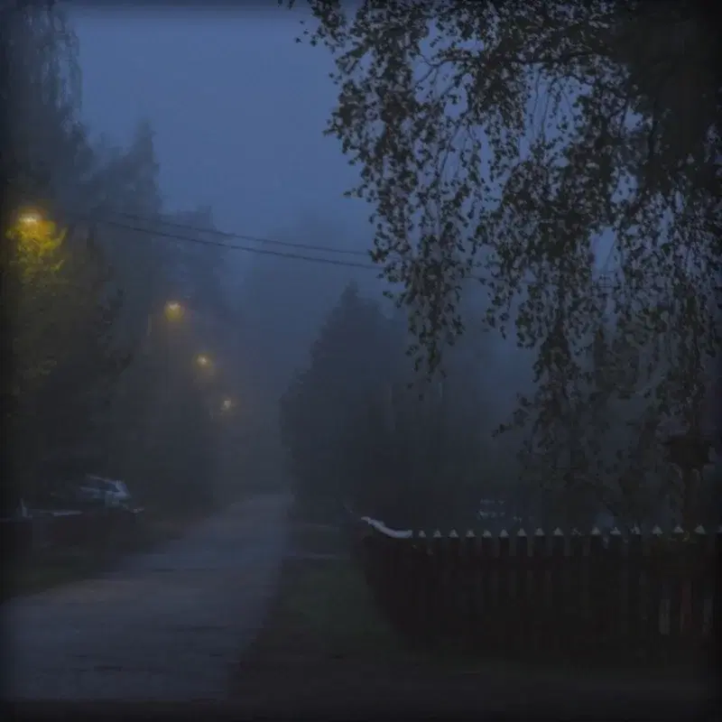 Lonely morning