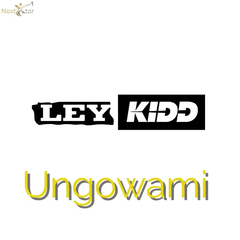 Ungowami