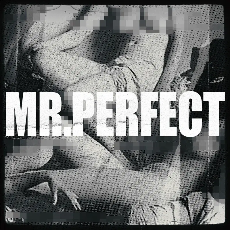 MR. PERFECT (feat. Boldy James & ElCamino)