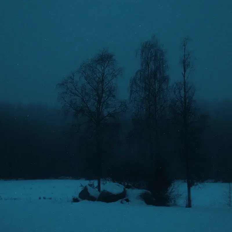 cold embrace
