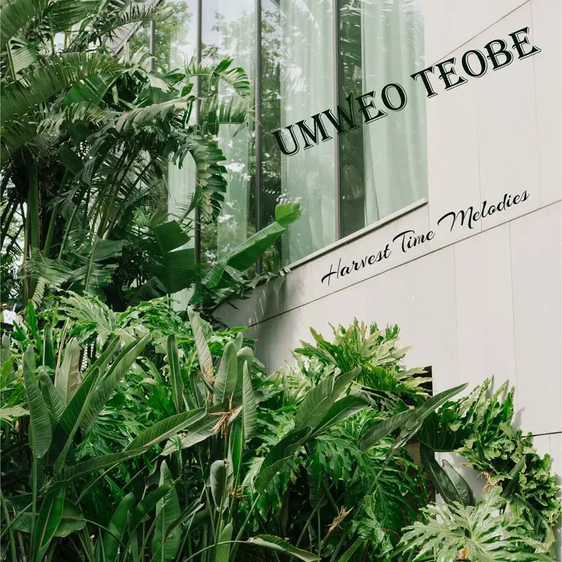 Umweo Teobe